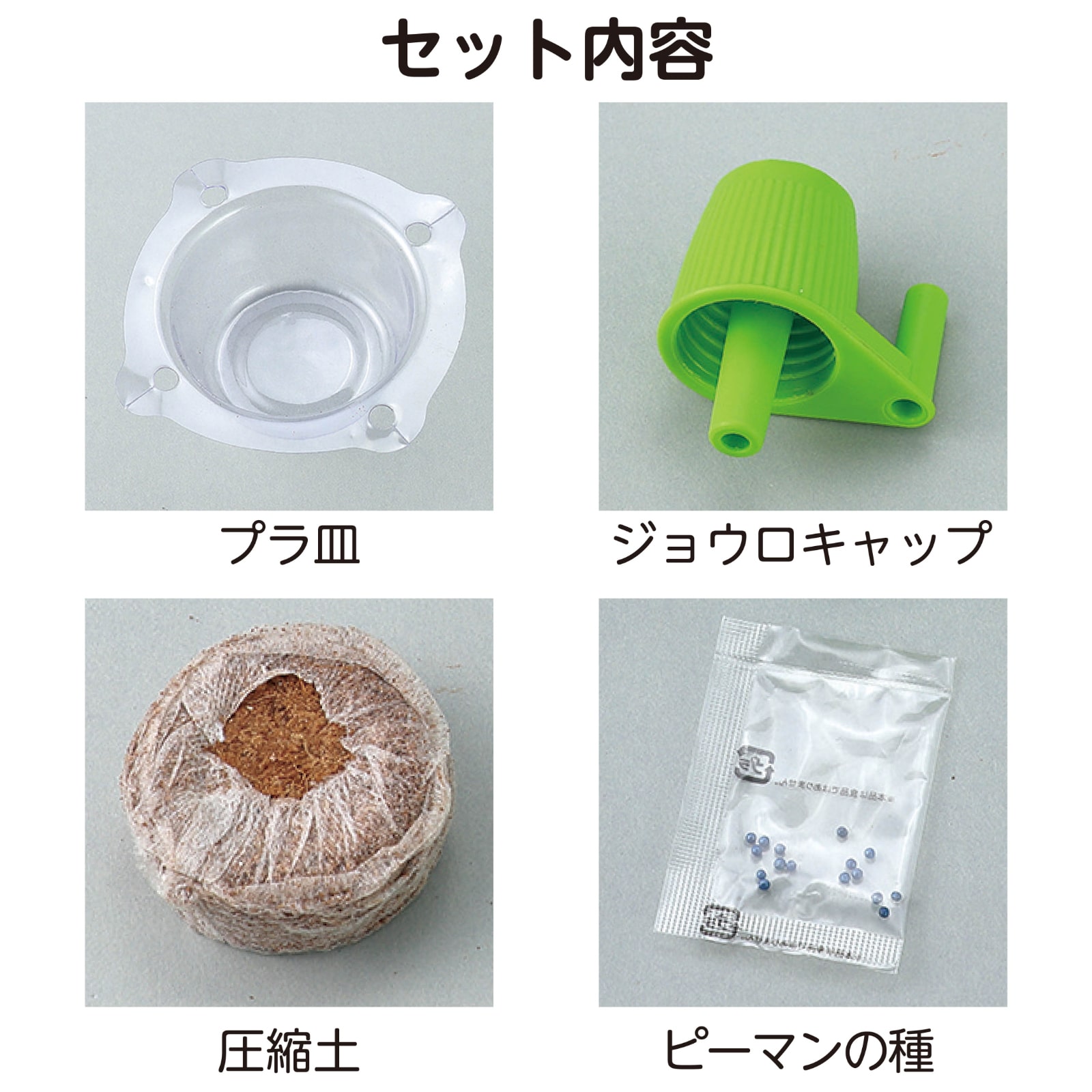 美品 家庭保育園 グレン•ドーマン ジャネット•ドーマン 8冊セット まとめ売り 美品 家庭保育園 グレン•ドーマン ジャネット•ドーマン 8冊