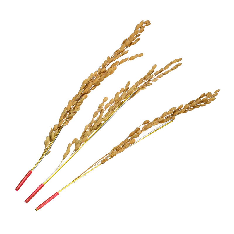 稲穂100　シルバーセット　24枚 稲穂100円銀貨の価値は？昭和34～41年発行の旧百円玉 | 古銭買取専門店