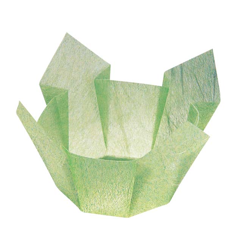 両面 OP珍味入 小(200枚入) 66396 若草雲竜 1箱(ご注文単位1箱)【直送品】