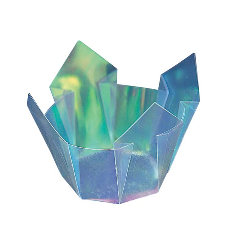 両面 OP珍味入 大(100枚入) 66404 オーロラ 1箱(ご注文単位1箱)【直送品】