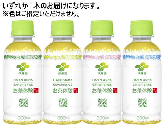 伊藤園 お茶体験 200ml 62067 1本※軽（ご注文単位1本)【直送品】 包装