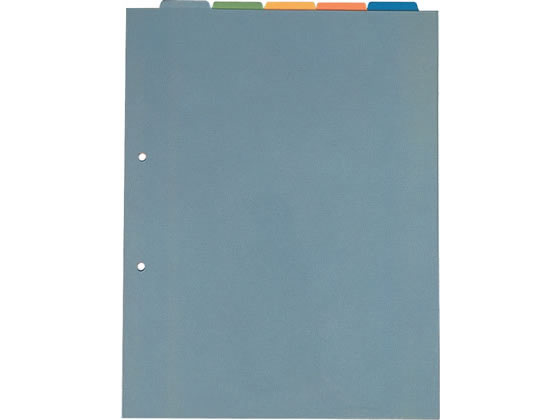 キングジム カバー付きカラーインデックス(上山タイプ) A4タテ 5山2穴