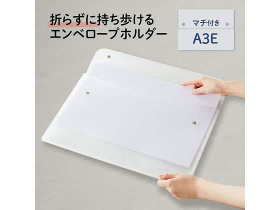 ねぎこさま専用 楽天市場】ねぎ 小ねぎ すさまる 20ml （約3200粒）（株）サカタ