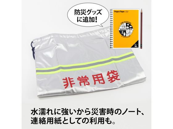 オキナ プロジェクトペーパー 耐水ノート B6 方眼 PWB6 1冊（ご