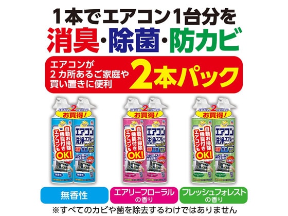 （まとめ）アース製薬 エアコン洗浄スプレー2本パック 無香性〔×30セット〕 まとめ）アース製薬 エアコン洗浄スプレー2本パック 無香性 アース製薬