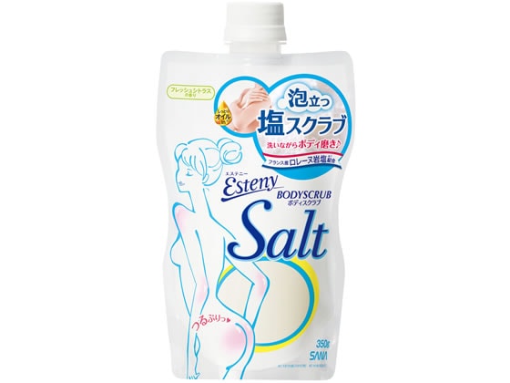 常盤薬品工業 サナ エステニー ソルティスクラブ 1個(ご注文単位1個)【直送品】