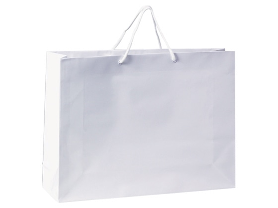 ヘイコー ブライトバッグ 手提袋 シロ 6138123 1枚(ご注文単位1枚)【直送品】