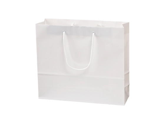 >スーパーバッグ ラミネート紙手提袋 白無地 M 10枚 92660250 1パック（ご注文単位1パック)【直送品】