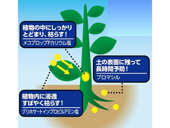 3個セット アース製薬 除草剤 アースカマイラズ 4.5L 草消滅 アース製薬 アースカマイラズ 草消滅 4.5L 1本（ご注文単位1本)直送