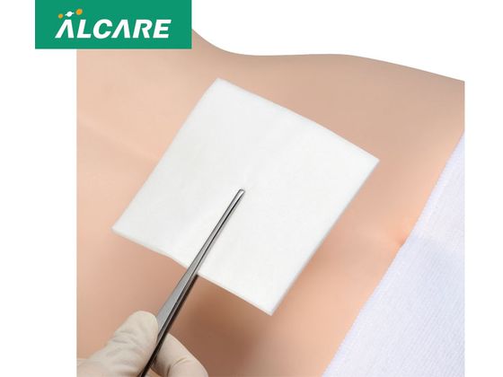 アルケア デルマエイド 2号 100枚入 11982 1個（ご注文単位1個）【直送品】