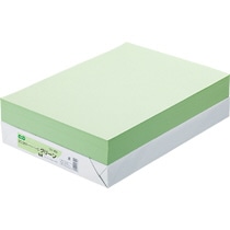 TANOSEE αエコカラーペーパーII B4 グリーン 少枚数パック 1冊（100枚） 〔×10セット〕 まとめ) TANOSEE αエコカラーペーパーIIフレッシュピンク A3 1冊(500枚