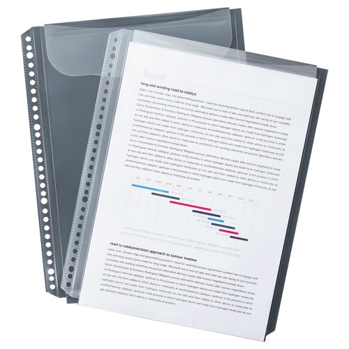 TANOSEE クリアファイル用リフィル (マチ・フタ付タイプ) A4タテ 2・4