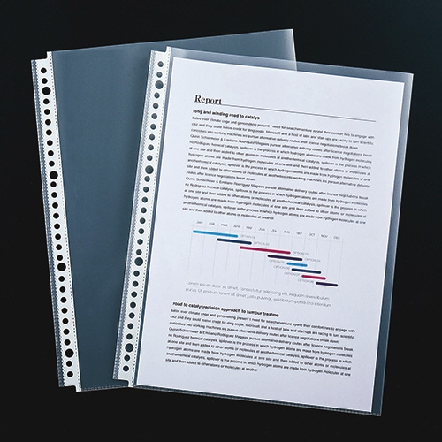 TANOSEE 書類がたくさん入るクリアファイル用リフィル A4タテ 2・4・30 TANOSEE 書類がたくさん入るクリアファイル用リフィル A4タテ 2・4・30