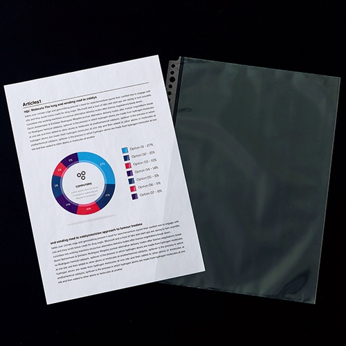 (まとめ)TANOSEE クリアファイル用リフィル(マチ・フタ付タイプ)A4タテ 2・4・30穴 1パック(10枚)〔×10セット〕