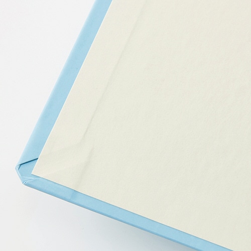 TANOSEE 貼り表紙クリアファイル A4タテ 10ポケット 背幅12mm