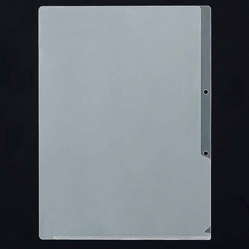 ニックス 2穴クリアホルダー A4 厚さ0.2mm MS-2-A4 10枚/袋（ご注文