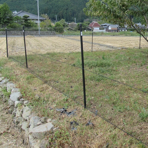 箱無し　もものすけ ちどり産業 ゴミ箱 丸形 シーグラス 円柱 ダストボックス