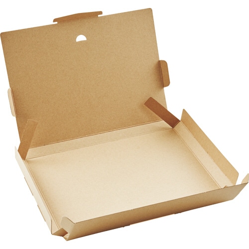 TANOSEE 発送ダンボール ネコポス・クリックポスト対応 A4 10枚/袋（ご