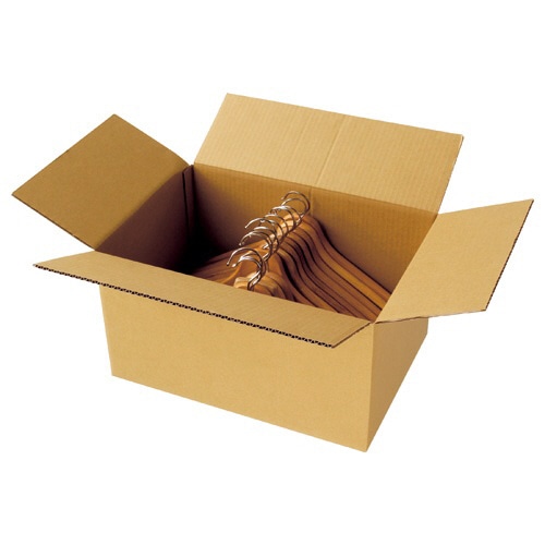 （まとめ）TANOSEE 宅配用ダンボール箱 100-B4 1パック（20枚） 〔×3セット〕