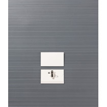 ライオン事務器 名札 ハードタイプ クリップ・安全ピン付 N31K-10P 1パック(10個)(ご注文単位1パック)【直送品】