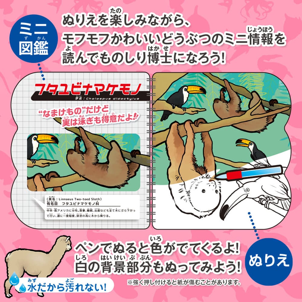 シルバーバック　水ぬりえ モフかわどうぶつ図鑑 1セット（ご注文単位1セット）【直送品】