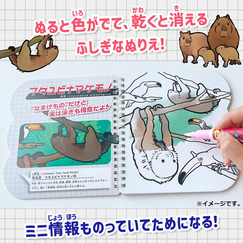 シルバーバック　水ぬりえ モフかわどうぶつ図鑑 1セット（ご注文単位1セット）【直送品】