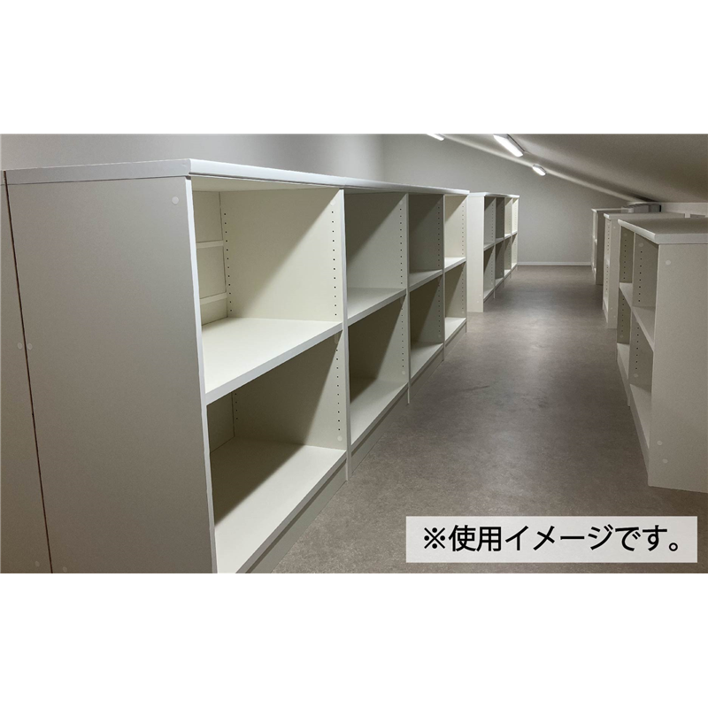 大洋 オーダーシェルフ ホワイトウッド NCオーダー1845 SR WW 幅450×奥行250×高さ1780(mm) 1台（ご注文単位1台）【直送品】