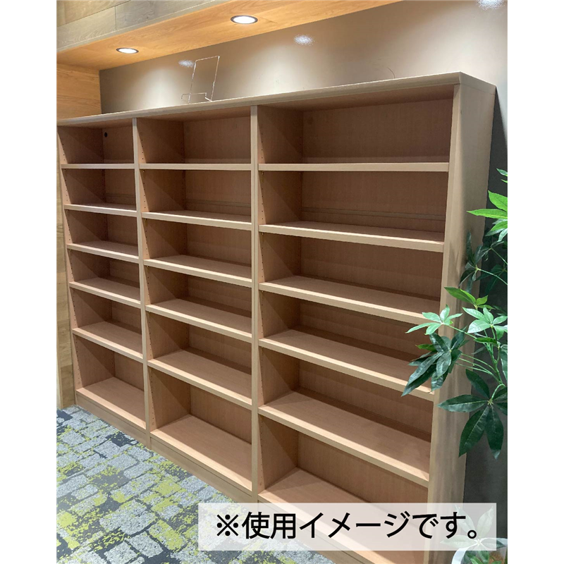 大洋 オーダーシェルフ ペアナチュラル NCオーダー1560 SR PN 幅600×奥行250×高さ1499(mm) 1台（ご注文単位1台）【直送品】