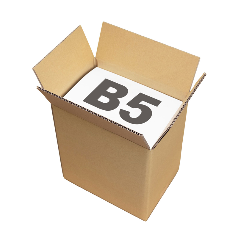 HEIKO 箱 ダンボール B5用-200 スリム 無地 20枚/箱 002123208 包装