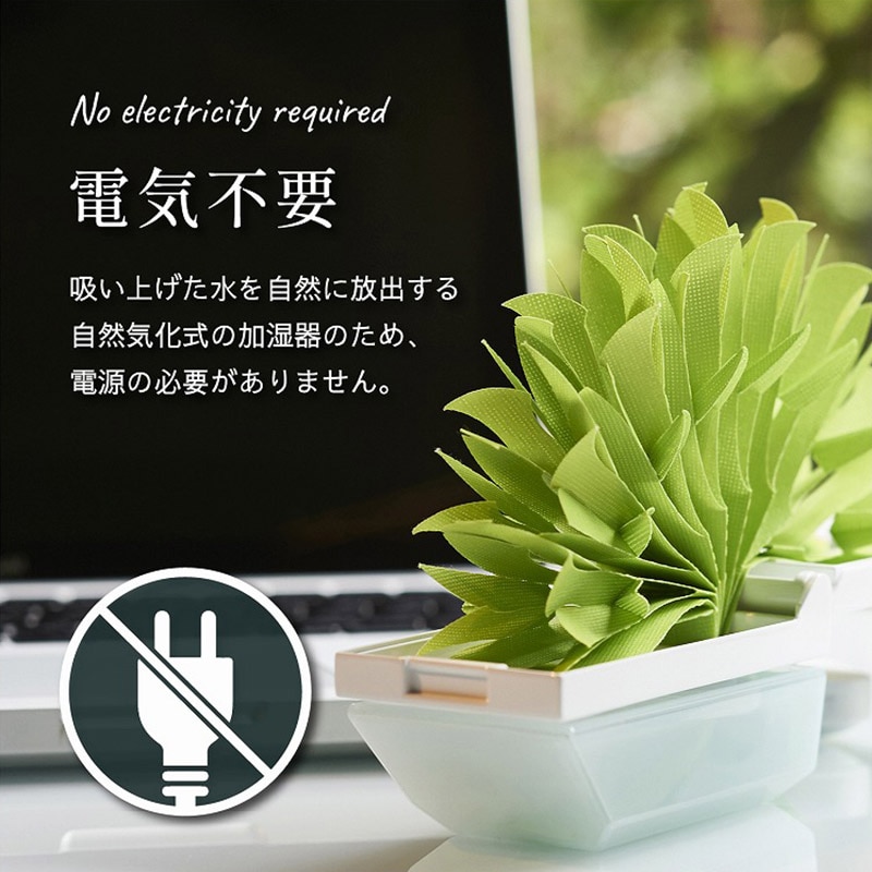 【10月購入で安心】1000mlライフエッセンス＆洗浄スポンジおまけ 10月購入で安心】1000mlライフエッセンス＆洗浄スポンジおまけ