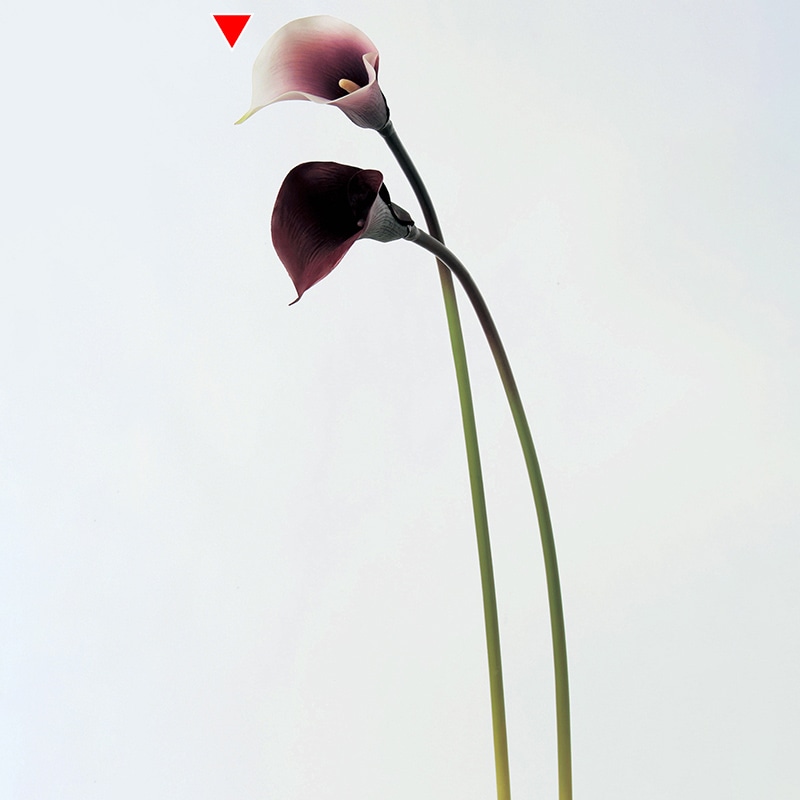 HEIKO エアフルール ボトルサイズ S 100枚/袋 006762900 包装用品