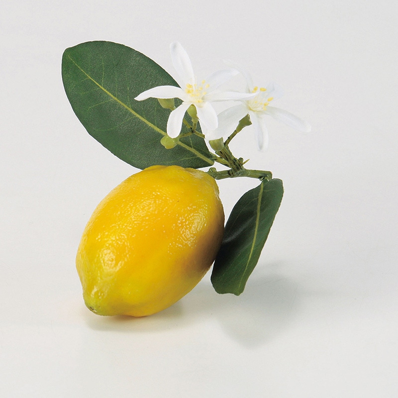 アスカ商会 ディスプレイ用フルーツ A-20360　レモン #010　イエロ- 1個（ご注文単位1個）【直送品】