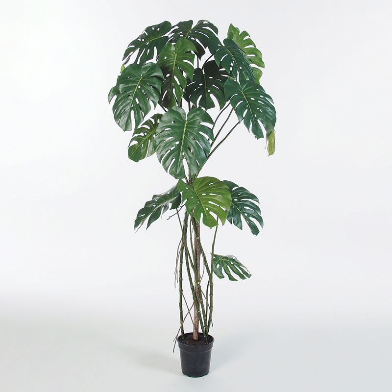 園芸 インテリア ポット コーテス ガレア ロー L 53/B 1個入り ct-011h53e [p131] （代引き不可） 花・観葉植物用ポット コーテス ガレア ロー L 53⁄B セメント（1個入り