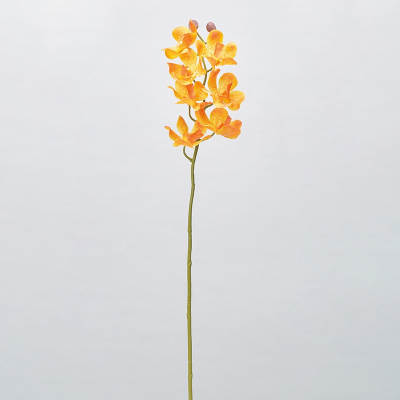 花花様 アオアシ 1-27巻セット アオアシ 1〜27巻セット オマケ付き‼️ - メルカリ