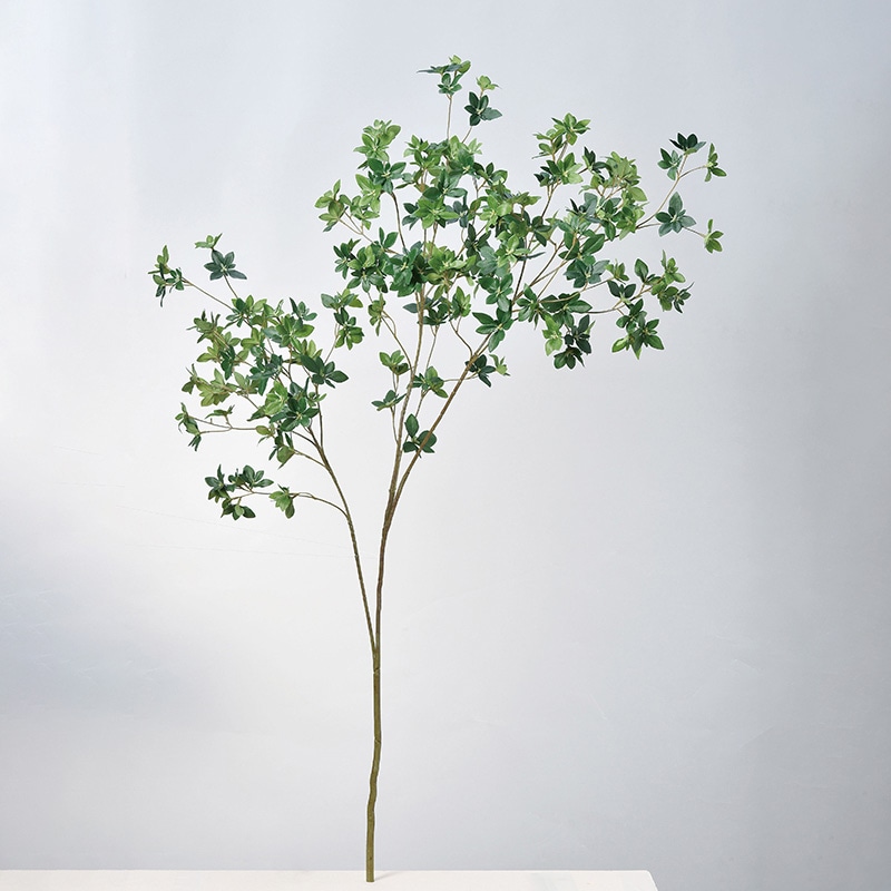 ドウダンツツジ 確認用 8773870000014_04.jpg