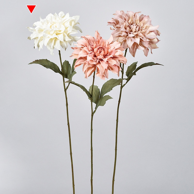 ダリア7824様 専用 ダリア様 ネット Dahlia様専用 ダリア7824様専用