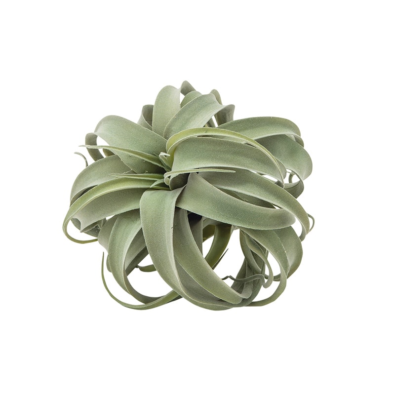 ポッシュリビング フェイクグリーン キセログラフィカ 80912 1個(ご注文単位1個)【直送品】