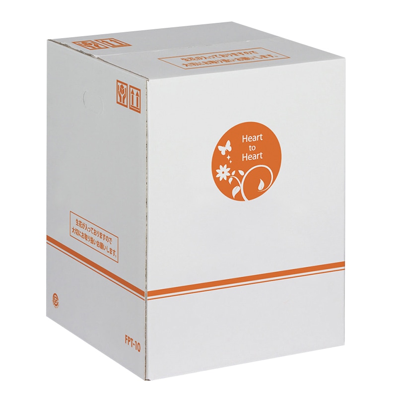 限定9箱　20kg 人参　02 限定9箱 20kg 人参 02