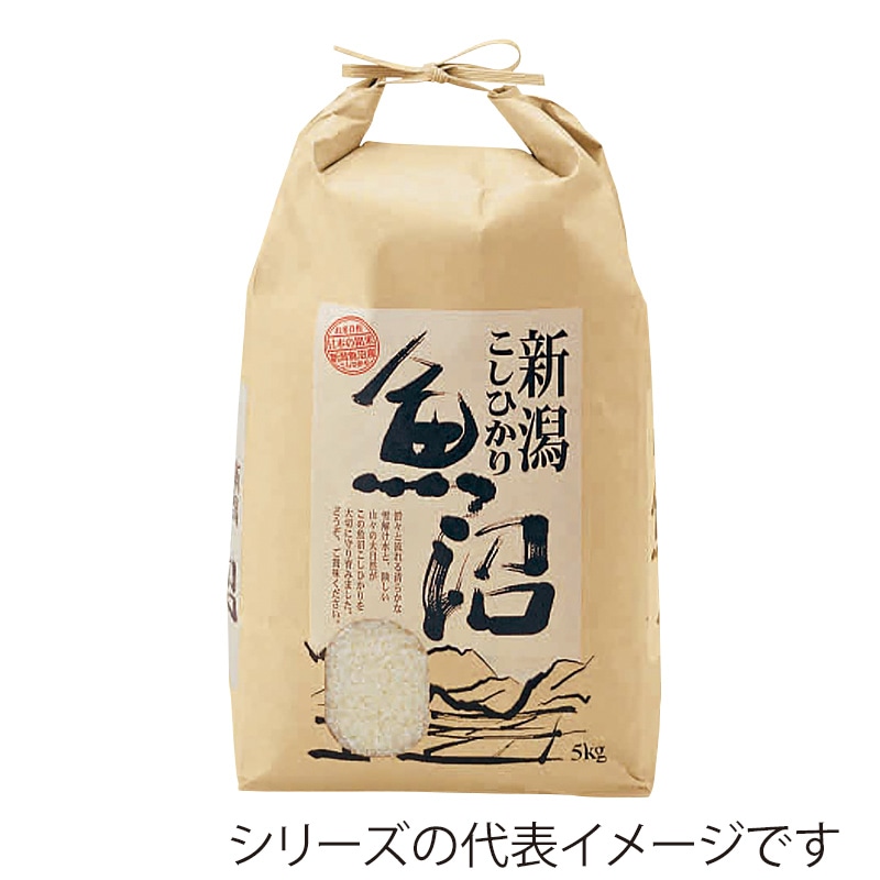 新潟県産こしひかり 2kg✕10袋セット 新潟のお米専門店-いなほんぽ- / 新潟こしひかり食べ比べBOX