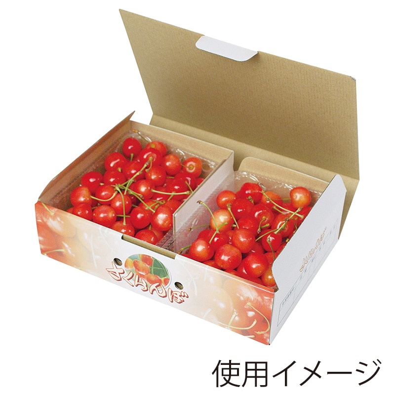 箱番号1.大玉アテモヤ2311g 箱番号1.大玉アテモヤ2311g
