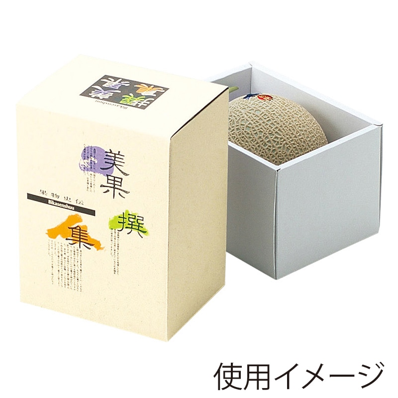 ヤマニパッケージ フルーツ箱 AF美果撰集 メロンかぶせ 1ヶ入 深