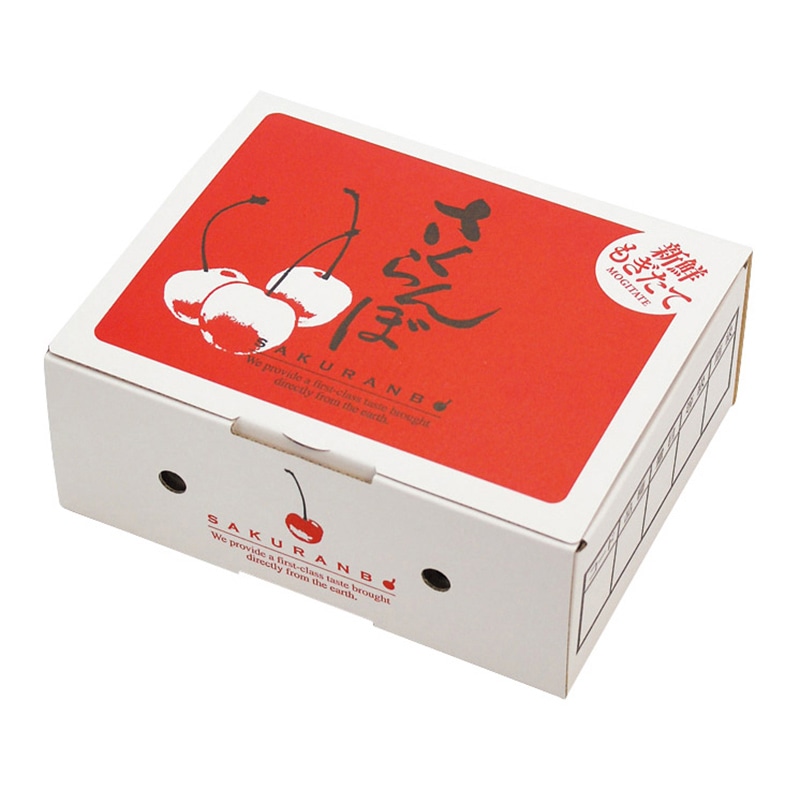 とまとん。【送料込み/ 新品】ヤーバサンタ2箱 楽天市場】セトクラフト S23-0592 TRASH DOUBLE ダストボックス
