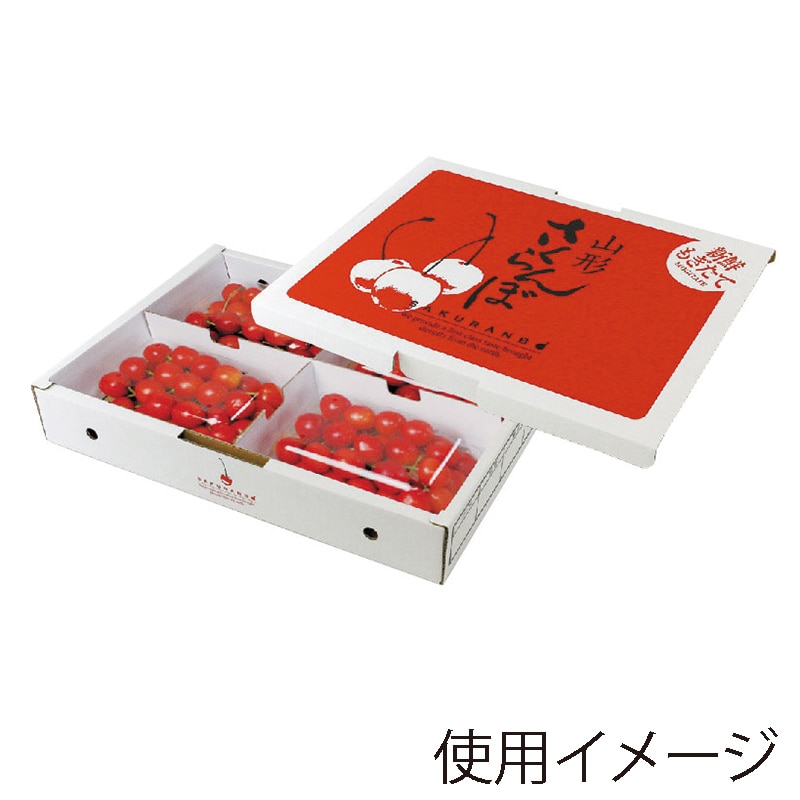 ギフト箱 さくらんぼ 山形 200g×4P ARL-35 50枚/束(ご注文単位1束)【直送品】
