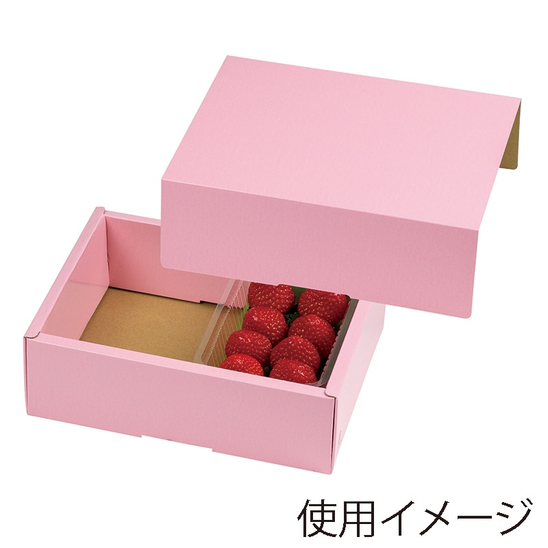 ギフト箱 フレッシュフルーツピンク L-251 10枚/束(ご注文単位10束)【直送品】