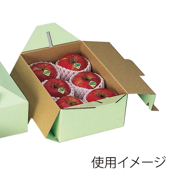 手提サービス箱 手提グリーン 大 L-274 20枚/束(ご注文単位5束)【直送品】