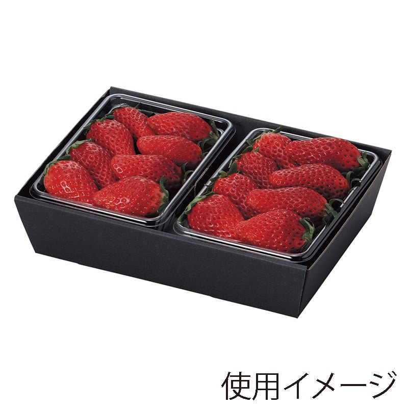 フルーツ容器 PSTR250平 黒 エフピコチューパ フルーツ容器 PSTR250平