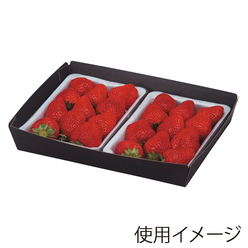 5kgプレート8枚セット【いちご】 いちごホールトレー箱 イチゴクッション用 2P L-446 50枚/束（ご