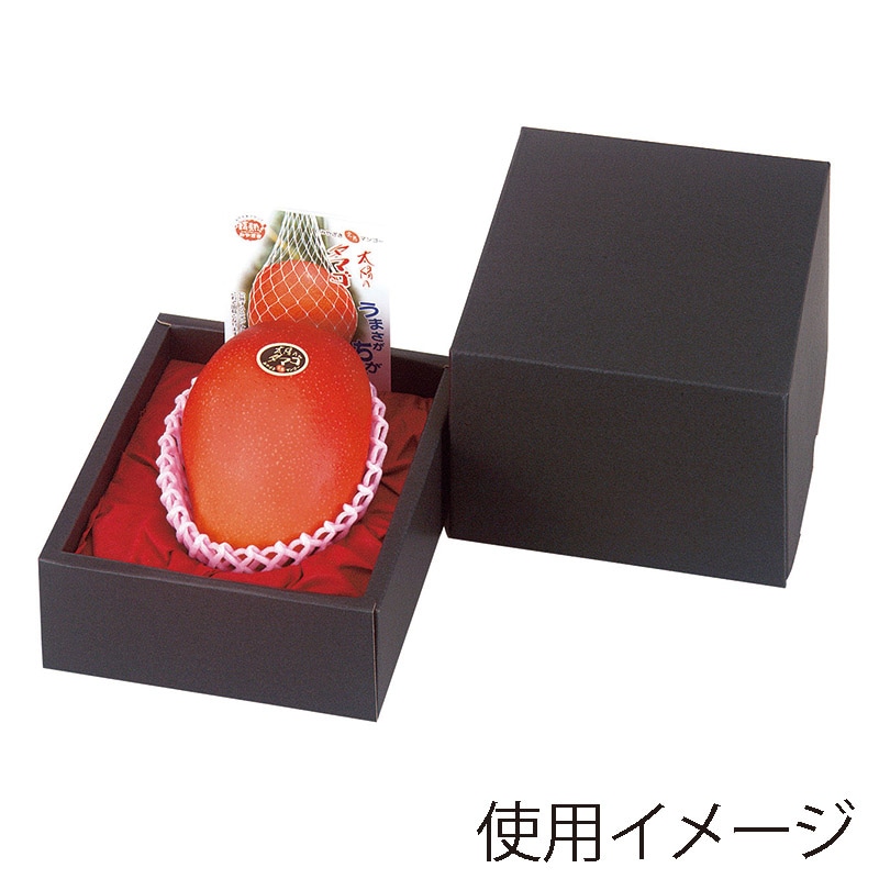 山ぶどう製小箱 OS シャインマスカット 1.5kg AO0202 ギフト箱 箱のみ 10枚 フタ