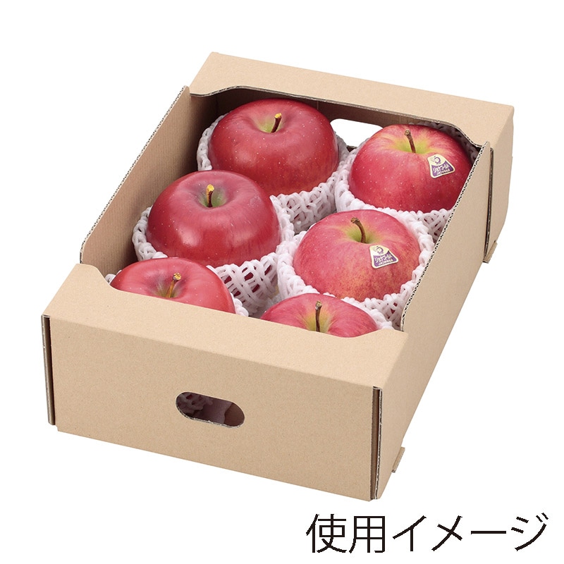 ヤマニパッケージ フルーツ箱 AF美果撰集 メロンかぶせ 1ヶ入 深