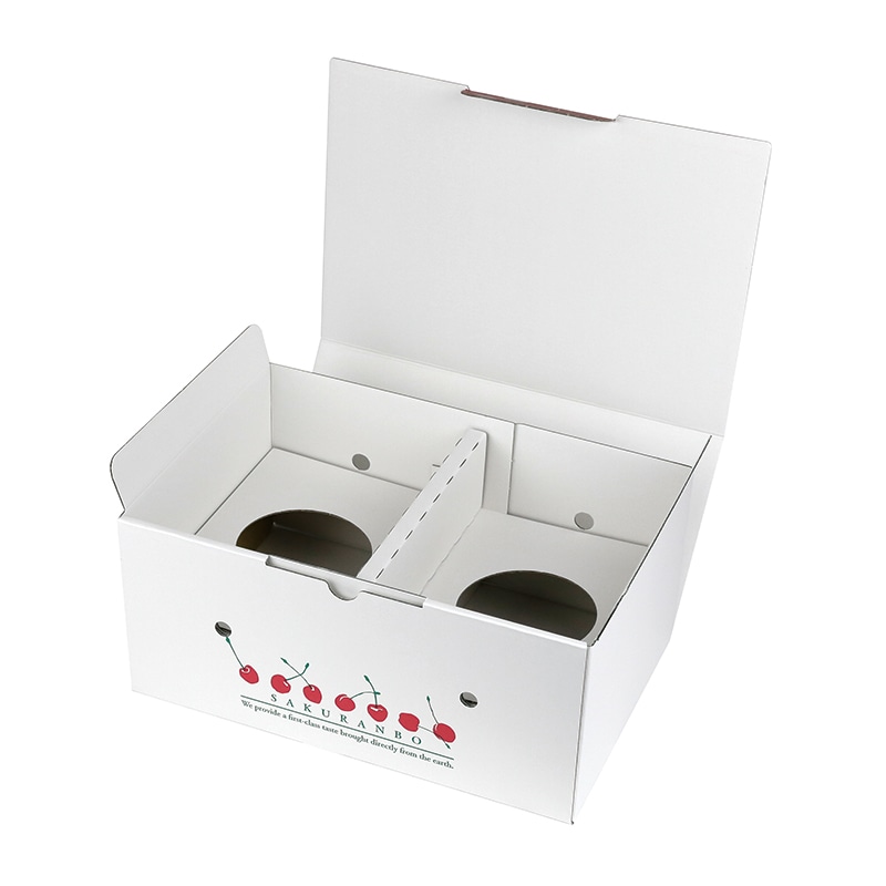 mo2スポコラ31包入り×5箱セット【K1223-1236】 ギフト箱 さくらんぼ 2段BOX L-2497 25枚/束（ご注文単位2束